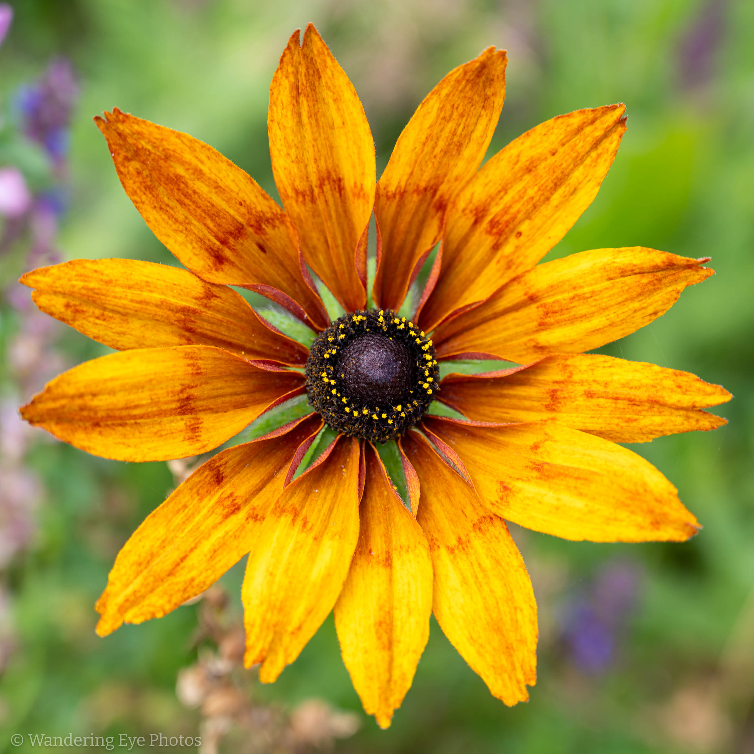 08.07 11.35.52   DSC02307